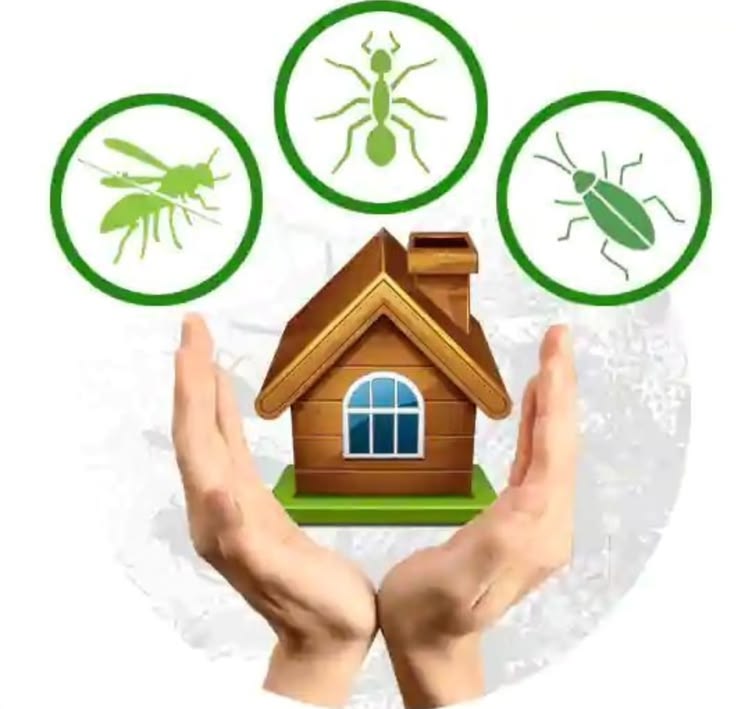 مكافحة الحشرات